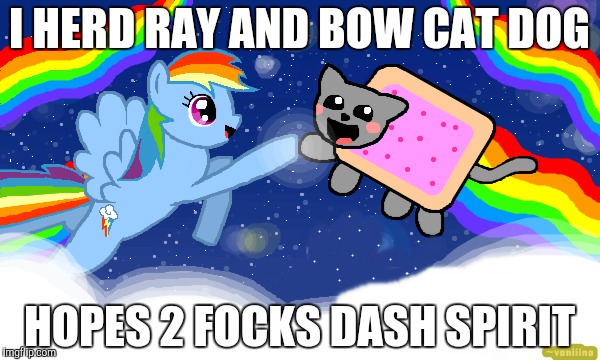 I HERD RAY AND BOW CAT DOG HOPES 2 FOCKS DASH SPIRIT | made w/ Imgflip meme maker