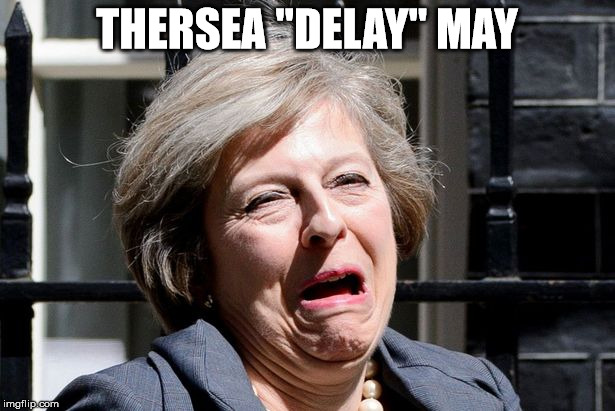 THERSEA "DELAY" MAY | image tagged in theresa may | made w/ Imgflip meme maker