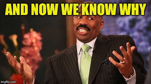 Steve Harvey Meme | AND NOW WE KNOW WHY | image tagged in memes,steve harvey | made w/ Imgflip meme maker