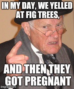 Back In My Day Meme | IN MY DAY, WE YELLED AT FIG TREES, AND THEN THEY GOT PREGNANT | image tagged in memes,back in my day | made w/ Imgflip meme maker