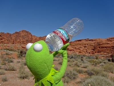 Kermit drinking water  Blank Meme Template