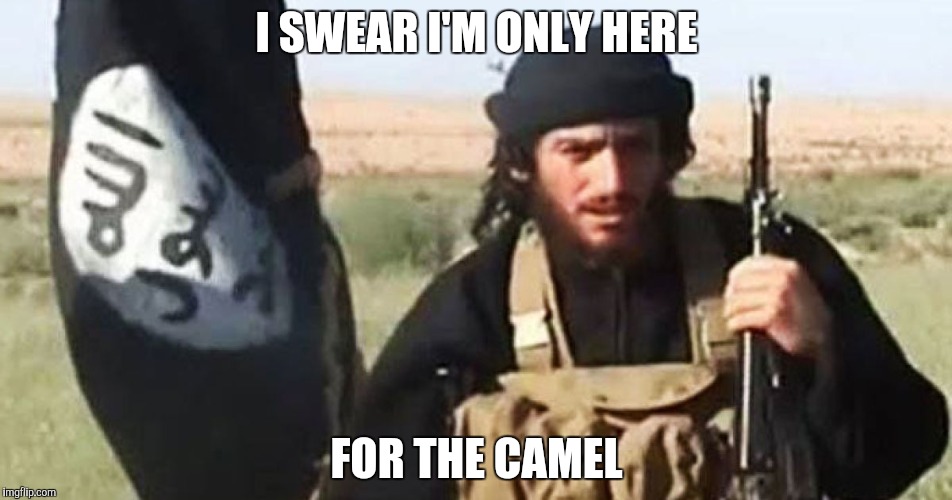 I SWEAR I'M ONLY HERE FOR THE CAMEL | made w/ Imgflip meme maker