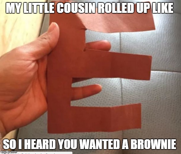 MY LITTLE COUSIN ROLLED UP LIKE; SO I HEARD YOU WANTED A BROWNIE | image tagged in brownie | made w/ Imgflip meme maker