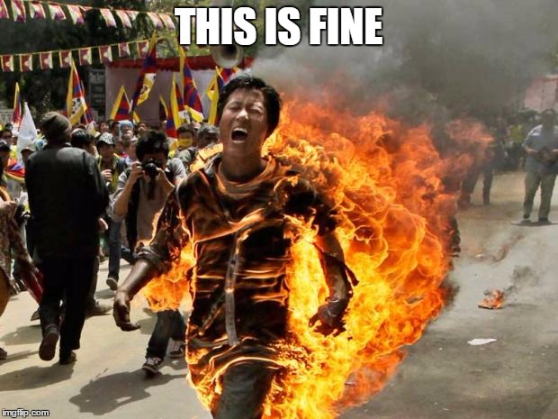 on fire | THIS IS FINE | image tagged in on fire | made w/ Imgflip meme maker