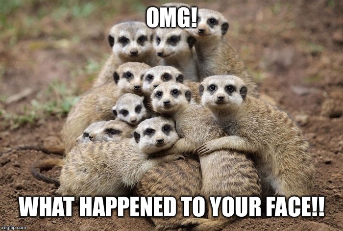 Animals Hugging | OMG! WHAT HAPPENED TO YOUR FACE!! | image tagged in animals hugging | made w/ Imgflip meme maker
