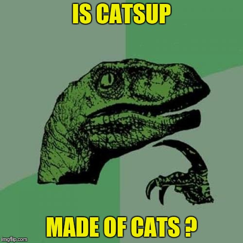 Philosoraptor Meme | IS CATSUP MADE OF CATS ? | image tagged in memes,philosoraptor | made w/ Imgflip meme maker
