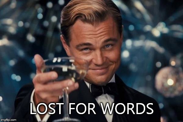 Leonardo Dicaprio Cheers Meme | LOST FOR WORDS | image tagged in memes,leonardo dicaprio cheers | made w/ Imgflip meme maker