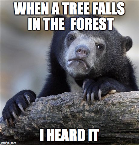Confession Bear | WHEN A TREE FALLS IN THE  FOREST; I HEARD IT | image tagged in memes,confession bear | made w/ Imgflip meme maker