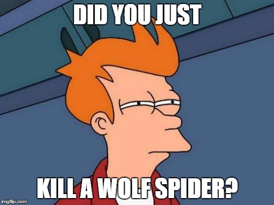 Futurama Fry | DID YOU JUST; KILL A WOLF SPIDER? | image tagged in memes,futurama fry | made w/ Imgflip meme maker
