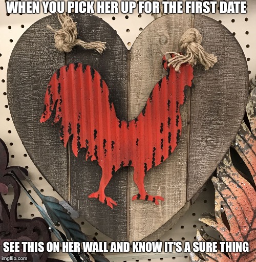 WHEN YOU PICK HER UP FOR THE FIRST DATE; SEE THIS ON HER WALL AND KNOW IT'S A SURE THING | image tagged in funny | made w/ Imgflip meme maker