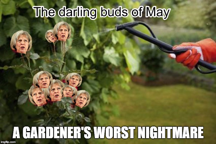 A GARDENER'S WORST NIGHTMARE | image tagged in a gardener's worst nightmare | made w/ Imgflip meme maker