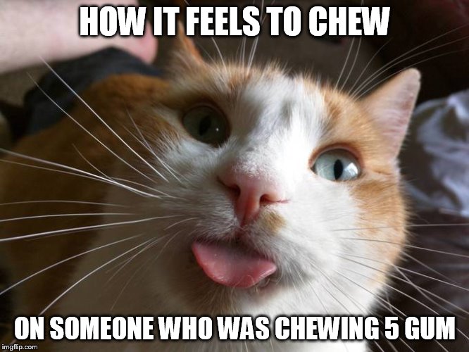 HOW IT FEELS TO CHEW; ON SOMEONE WHO WAS CHEWING 5 GUM | image tagged in derpy cat | made w/ Imgflip meme maker
