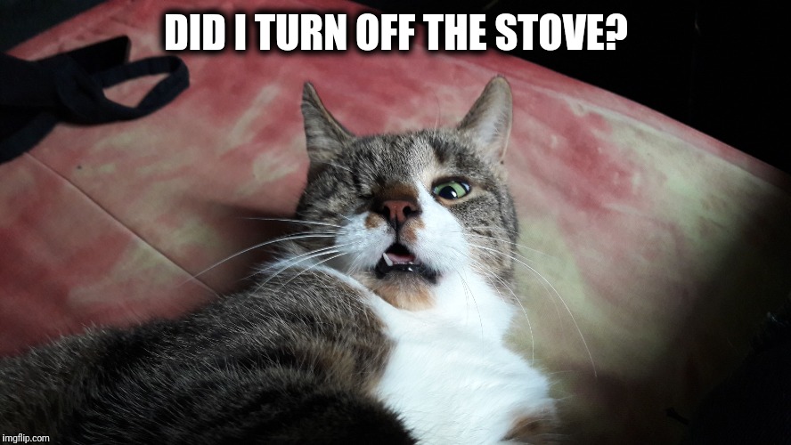 The Catlops and the stove | DID I TURN OFF THE STOVE? | image tagged in kairi catlops | made w/ Imgflip meme maker