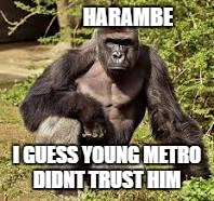 HARAMBE; I GUESS YOUNG METRO DIDNT TRUST HIM | image tagged in harambe | made w/ Imgflip meme maker