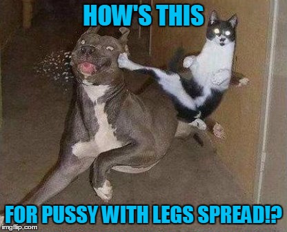 HOW'S THIS FOR PUSSY WITH LEGS SPREAD!? | made w/ Imgflip meme maker