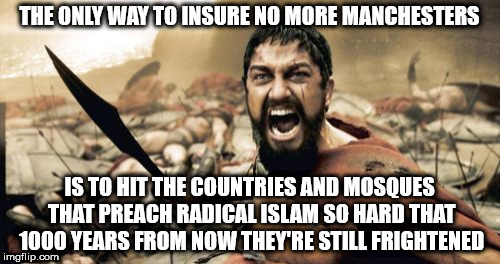 Sparta Leonidas | THE ONLY WAY TO INSURE NO MORE MANCHESTERS; IS TO HIT THE COUNTRIES AND MOSQUES THAT PREACH RADICAL ISLAM SO HARD THAT 1000 YEARS FROM NOW THEY'RE STILL FRIGHTENED | image tagged in memes,sparta leonidas | made w/ Imgflip meme maker