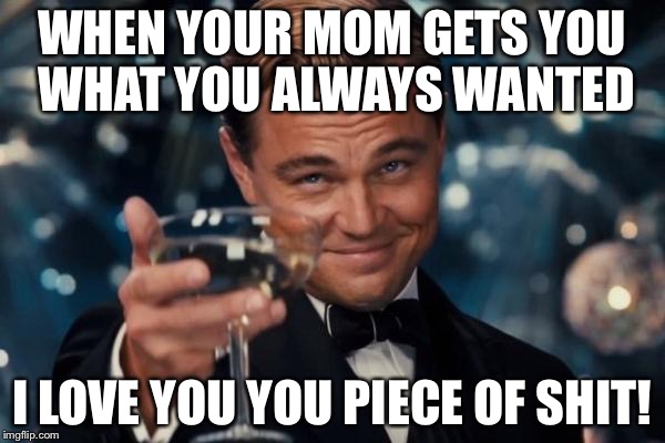 Leonardo Dicaprio Cheers | WHEN YOUR MOM GETS YOU WHAT YOU ALWAYS WANTED; I LOVE YOU YOU PIECE OF SHIT! | image tagged in memes,leonardo dicaprio cheers | made w/ Imgflip meme maker