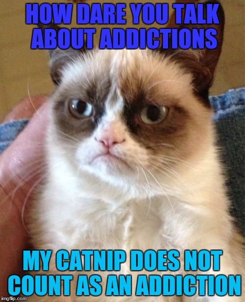 Grumpy Cat Meme | HOW DARE YOU TALK ABOUT ADDICTIONS MY CATNIP DOES NOT COUNT AS AN ADDICTION | image tagged in memes,grumpy cat | made w/ Imgflip meme maker
