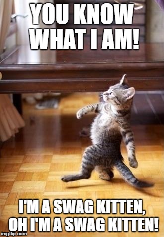 Cool Cat Stroll Meme | YOU KNOW WHAT I AM! I'M A SWAG KITTEN, OH I'M A SWAG KITTEN! | image tagged in memes,cool cat stroll | made w/ Imgflip meme maker