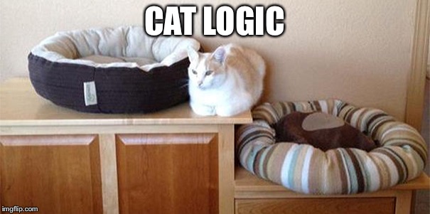 Cat Logic | CAT LOGIC | image tagged in cats,logic,lol | made w/ Imgflip meme maker