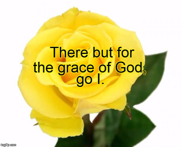 There but for the grace of God, go I. | image tagged in yellow rose of friendship | made w/ Imgflip meme maker