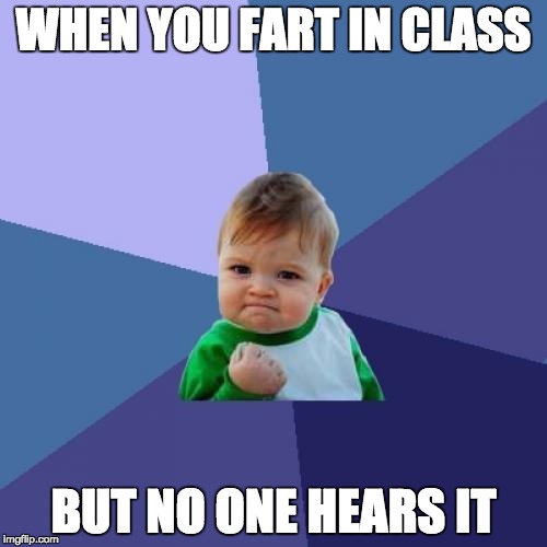 Success Kid Meme | WHEN YOU FART IN CLASS; BUT NO ONE HEARS IT | image tagged in memes,success kid | made w/ Imgflip meme maker