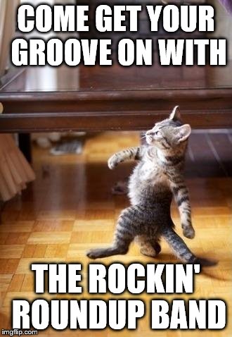 Cool Cat Stroll Meme | COME GET YOUR GROOVE ON WITH; THE ROCKIN' ROUNDUP BAND | image tagged in memes,cool cat stroll | made w/ Imgflip meme maker