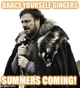 ned stark | BRACE YOURSELF GINGERS; SUMMERS COMING! | image tagged in ned stark | made w/ Imgflip meme maker