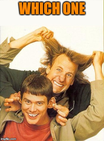 DUMB and dumber | WHICH ONE | image tagged in dumb and dumber | made w/ Imgflip meme maker