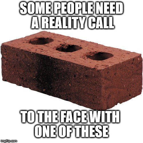 Seriously though! | SOME PEOPLE NEED A REALITY CALL; TO THE FACE WITH ONE OF THESE | image tagged in lmao,face,brick | made w/ Imgflip meme maker