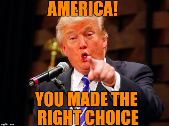 trump point | AMERICA! YOU MADE THE RIGHT CHOICE | image tagged in trump point | made w/ Imgflip meme maker