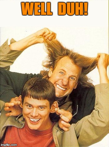 DUMB and dumber | WELL  DUH! | image tagged in dumb and dumber | made w/ Imgflip meme maker