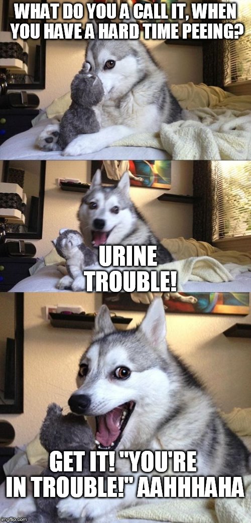 Bad joke of the day! | WHAT DO YOU A CALL IT, WHEN YOU HAVE A HARD TIME PEEING? URINE TROUBLE! GET IT! "YOU'RE IN TROUBLE!" AAHHHAHA | image tagged in bad joke dog | made w/ Imgflip meme maker
