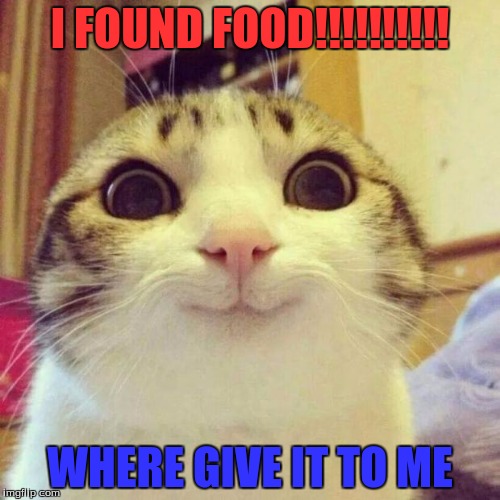 Smiling Cat Meme | I FOUND FOOD!!!!!!!!!! WHERE GIVE IT TO ME | image tagged in memes,smiling cat | made w/ Imgflip meme maker