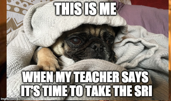 Harper the Pug | THIS IS ME; WHEN MY TEACHER SAYS IT'S TIME TO TAKE THE SRI | image tagged in pug life | made w/ Imgflip meme maker