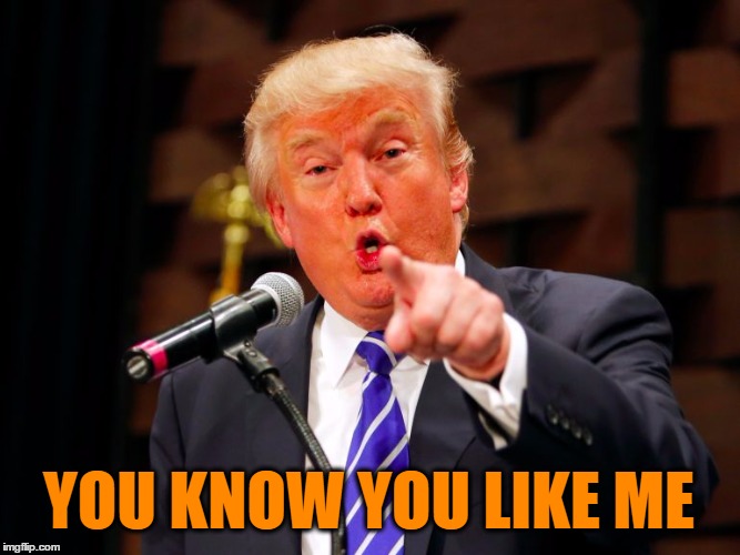 trump point | YOU KNOW YOU LIKE ME | image tagged in trump point | made w/ Imgflip meme maker