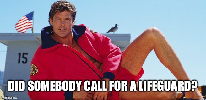 Hasselhoff Baywatch | DID SOMEBODY CALL FOR A LIFEGUARD? | image tagged in hasselhoff baywatch | made w/ Imgflip meme maker