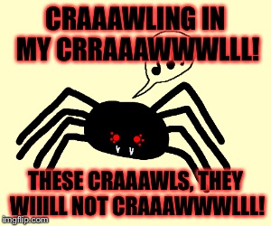 THESE CRAWLS THEY WILL NOT CRAAAWWWLLL!!!!!!!!! | CRAAAWLING IN MY CRRAAAWWWLLL! THESE CRAAAWLS, THEY WIIILL NOT CRAAAWWWLLL! | image tagged in spiders,crawling in my skin | made w/ Imgflip meme maker