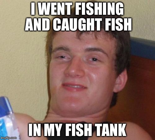 10 Guy Meme | I WENT FISHING AND CAUGHT FISH; IN MY FISH TANK | image tagged in memes,10 guy | made w/ Imgflip meme maker