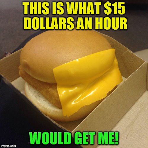 THIS IS WHAT $15 DOLLARS AN HOUR; WOULD GET ME! | made w/ Imgflip meme maker
