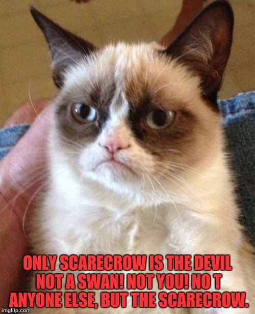 Grumpy Cat Meme | ONLY SCARECROW IS THE DEVIL NOT A SWAN! NOT YOU! NO T ANYONE ELSE, BUT THE SCARECROW. | image tagged in memes,grumpy cat | made w/ Imgflip meme maker
