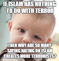 Skeptical Baby | IF ISLAM HAS NOTHING TO DO WITH TERROR; THEN WHY ARE SO MANY SAYING HATING ON ISLAM CREATES MORE TERRORISTS? | image tagged in memes,skeptical baby | made w/ Imgflip meme maker