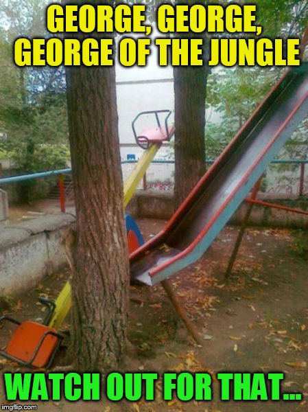 GEORGE, GEORGE, GEORGE OF THE JUNGLE; WATCH OUT FOR THAT... | made w/ Imgflip meme maker
