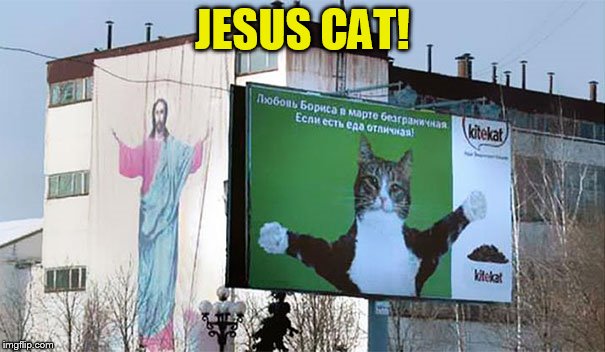 JESUS CAT! | made w/ Imgflip meme maker