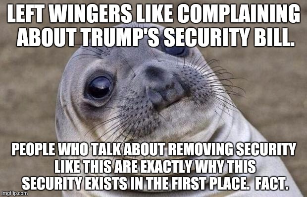 Awkward Moment Sealion Meme | LEFT WINGERS LIKE COMPLAINING ABOUT TRUMP'S SECURITY BILL. PEOPLE WHO TALK ABOUT REMOVING SECURITY LIKE THIS ARE EXACTLY WHY THIS SECURITY E | image tagged in memes,awkward moment sealion | made w/ Imgflip meme maker