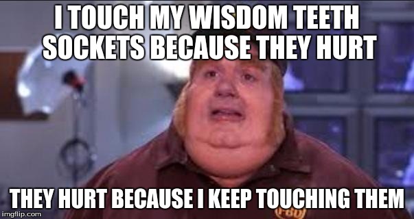Fat Bastard | I TOUCH MY WISDOM TEETH SOCKETS BECAUSE THEY HURT; THEY HURT BECAUSE I KEEP TOUCHING THEM | image tagged in fat bastard | made w/ Imgflip meme maker