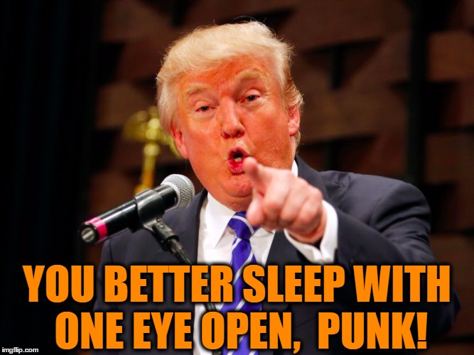 trump point | YOU BETTER SLEEP WITH ONE EYE OPEN,  PUNK! | image tagged in trump point | made w/ Imgflip meme maker