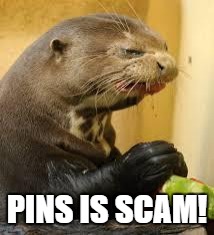 Disgusted Otter | PINS IS SCAM! | image tagged in disgusted otter | made w/ Imgflip meme maker