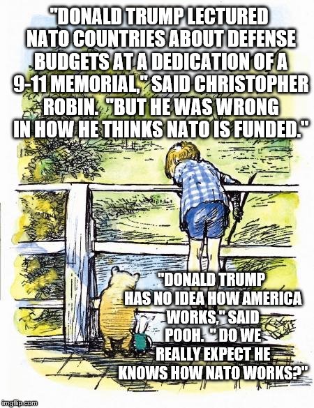 Pooh Sticks | "DONALD TRUMP LECTURED NATO COUNTRIES ABOUT DEFENSE BUDGETS AT A DEDICATION OF A 9-11 MEMORIAL," SAID CHRISTOPHER ROBIN.  "BUT HE WAS WRONG IN HOW HE THINKS NATO IS FUNDED."; "DONALD TRUMP HAS NO IDEA HOW AMERICA WORKS," SAID POOH.  " DO WE REALLY EXPECT HE KNOWS HOW NATO WORKS?" | image tagged in pooh sticks | made w/ Imgflip meme maker