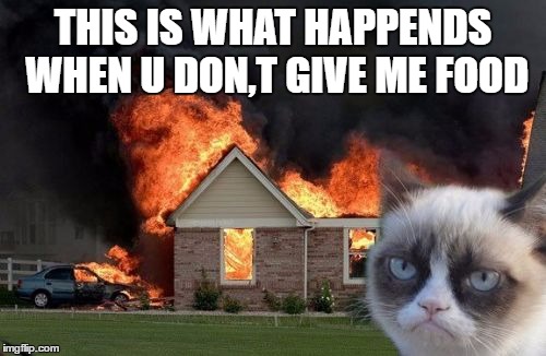 Burn Kitty | THIS IS WHAT HAPPENDS WHEN U DON,T GIVE ME FOOD | image tagged in memes,burn kitty,grumpy cat | made w/ Imgflip meme maker
